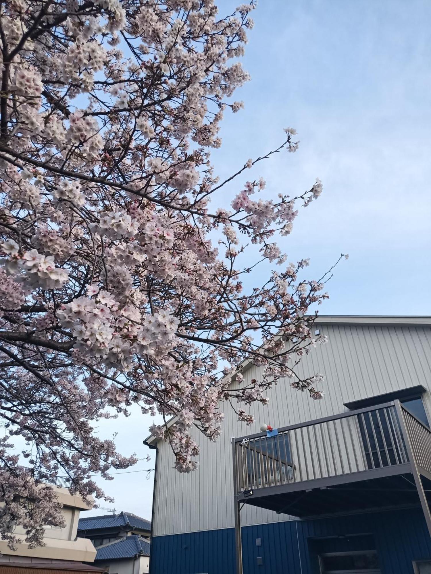 Guest House Ihatov - Vacation Stay 22122V Takamatsu Exterior photo